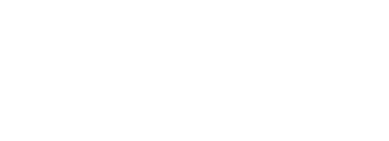 Wolt